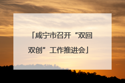 咸宁市召开“双回双创”工作推进会