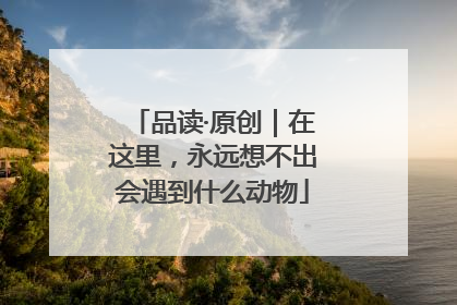 品读·原创｜在这里，永远想不出会遇到什么动物