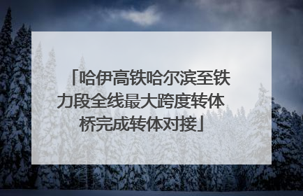 哈伊高铁哈尔滨至铁力段全线最大跨度转体桥完成转体对接
