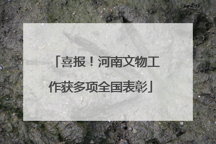 喜报！河南文物工作获多项全国表彰