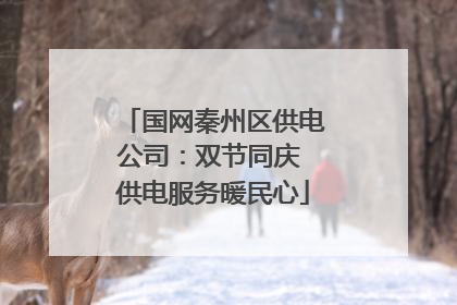 国网秦州区供电公司：双节同庆 供电服务暖民心