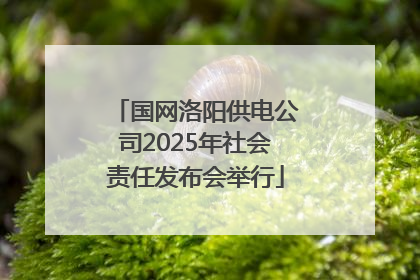 国网洛阳供电公司2025年社会责任发布会举行