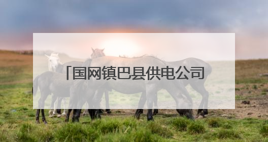 国网镇巴县供电公司 电力“护考天团”上线 温情助力中考
