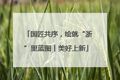 国匠共序，绘就“浙”里蓝图丨美好上新