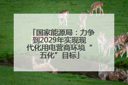 国家能源局：力争到2029年实现现代化用电营商环境“五化”目标