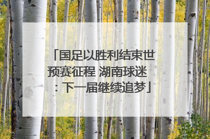 国足以胜利结束世预赛征程 湖南球迷：下一届继续追梦