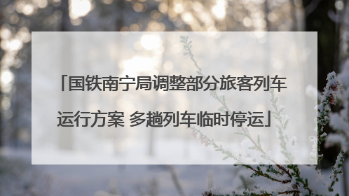 国铁南宁局调整部分旅客列车运行方案 多趟列车临时停运