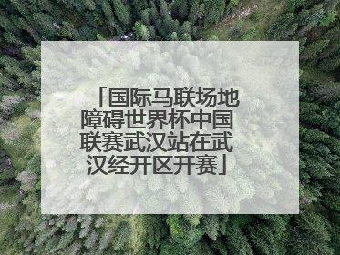 国际马联场地障碍世界杯中国联赛武汉站在武汉经开区开赛