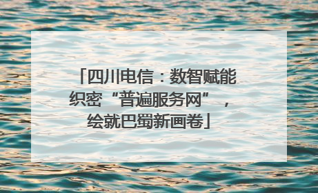 四川电信：数智赋能织密“普遍服务网”，绘就巴蜀新画卷