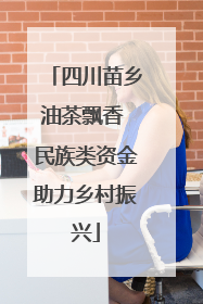 四川苗乡油茶飘香 民族类资金助力乡村振兴