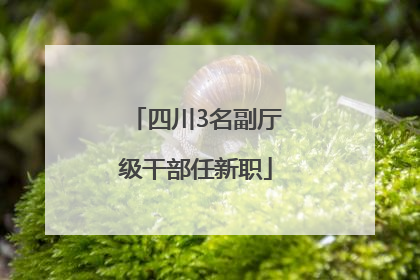 四川3名副厅级干部任新职