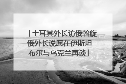 土耳其外长访俄斡旋 俄外长说愿在伊斯坦布尔与乌克兰再谈