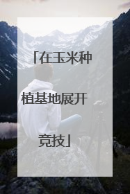 在玉米种植基地展开竞技