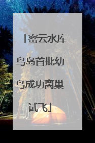 密云水库鸟岛首批幼鸟成功离巢试飞