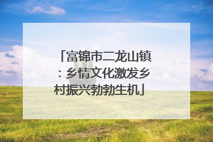 富锦市二龙山镇：乡情文化激发乡村振兴勃勃生机