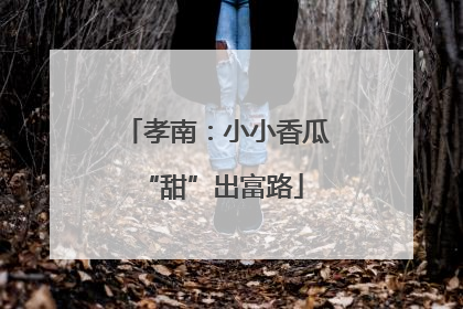 孝南：小小香瓜 “甜”出富路