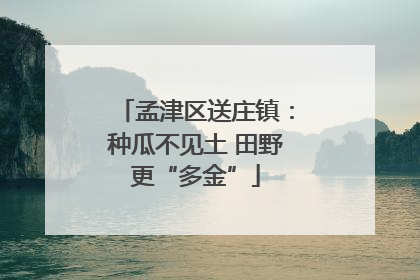 孟津区送庄镇：种瓜不见土 田野更“多金”