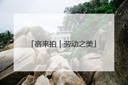 宿来拍｜劳动之美