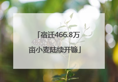 宿迁466.8万亩小麦陆续开镰