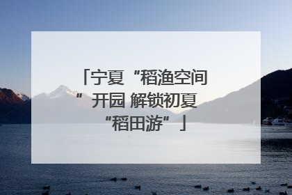 宁夏“稻渔空间”开园 解锁初夏“稻田游”