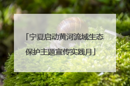 宁夏启动黄河流域生态保护主题宣传实践月