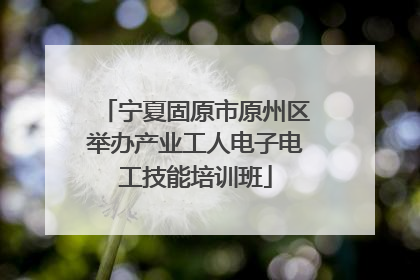 宁夏固原市原州区举办产业工人电子电工技能培训班