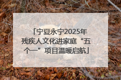 宁夏永宁2025年残疾人文化进家庭“五个一”项目温暖启航