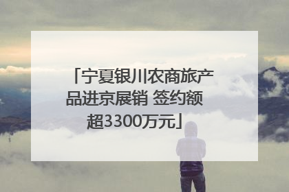 宁夏银川农商旅产品进京展销 签约额超3300万元