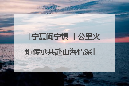 宁夏闽宁镇 十公里火炬传承共赴山海情深