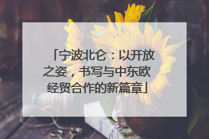 宁波北仑：以开放之姿，书写与中东欧经贸合作的新篇章