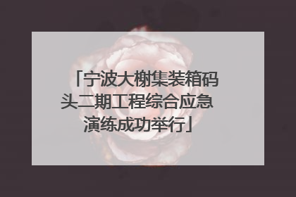 宁波大榭集装箱码头二期工程综合应急演练成功举行