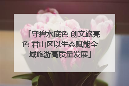 守碧水底色 创文旅亮色 君山区以生态赋能全域旅游高质量发展