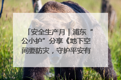 安全生产月｜浦东“公小护”分享《地下空间要防灾，守护平安有我在》安全谣