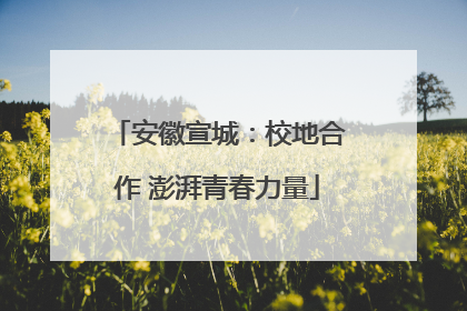 安徽宣城：校地合作 澎湃青春力量