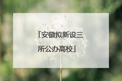 安徽拟新设三所公办高校