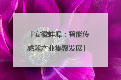 安徽蚌埠：智能传感器产业集聚发展