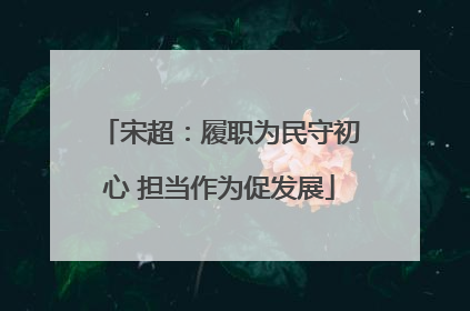 宋超：履职为民守初心 担当作为促发展