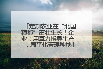 定制农业在“北国粮都”茁壮生长！企业：用算力指导生产，扁平化管理种地