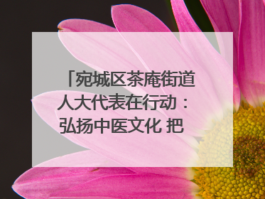 宛城区茶庵街道人大代表在行动：弘扬中医文化 把脉基层健康