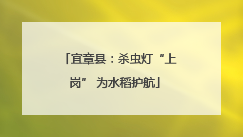 宜章县：杀虫灯“上岗” 为水稻护航