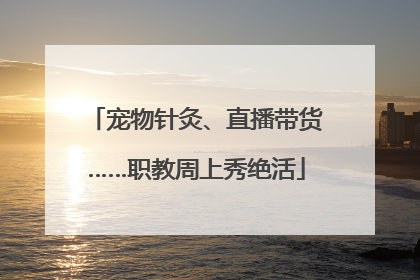 宠物针灸、直播带货……职教周上秀绝活