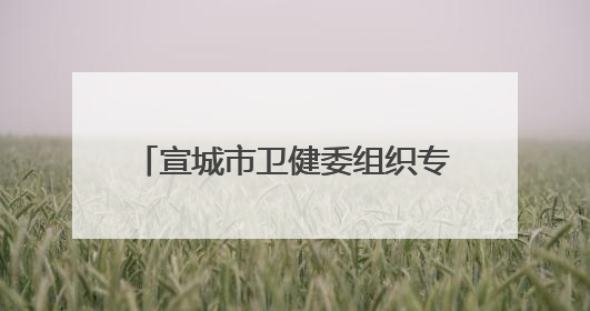 宣城市卫健委组织专业团队护航中高考