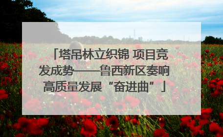 塔吊林立织锦 项目竞发成势——鲁西新区奏响高质量发展“奋进曲”