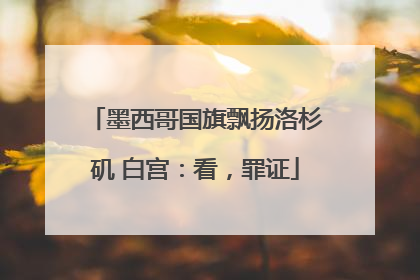 墨西哥国旗飘扬洛杉矶 白宫：看，罪证