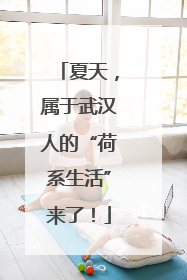 夏天，属于武汉人的“荷系生活”来了！