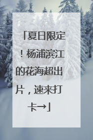 夏日限定！杨浦滨江的花海超出片，速来打卡→