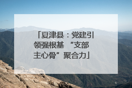 夏津县：党建引领强根基 “支部主心骨”聚合力
