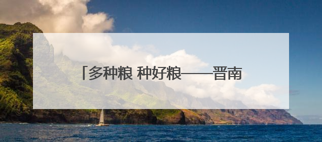 多种粮 种好粮——晋南“麦田夫妻档”忙夏收