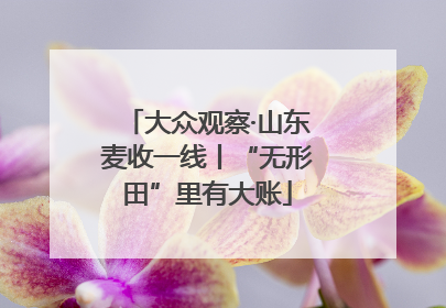大众观察·山东麦收一线丨“无形田”里有大账