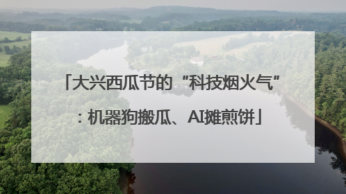 大兴西瓜节的“科技烟火气”：机器狗搬瓜、AI摊煎饼